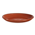 Assiette plate Viande Faïence 23 x 2 x 23 cm (10 Unités) Bigbuy