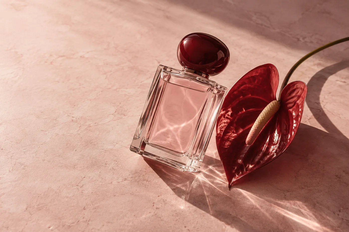 Jeu de lumière sur un flacon de parfum et une fleur rouge
